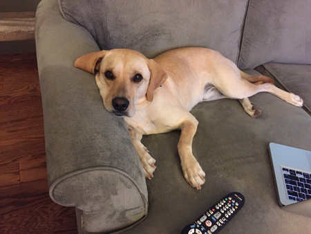 Charlie