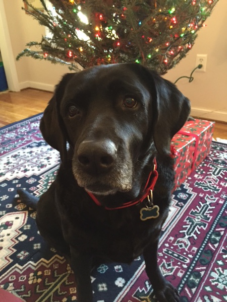 Merry Christmas to all and to all a second chance