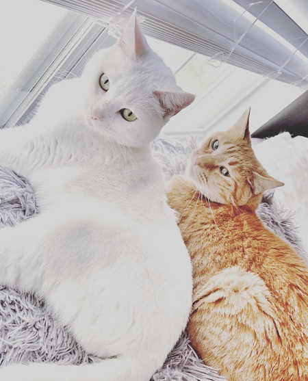 Icy & Lila
