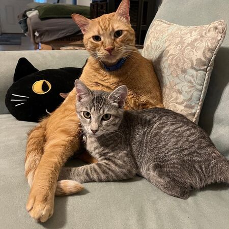Luna & Giovanni (Gio)