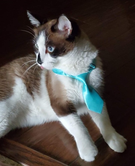 Augustus Kittleton (Gus)