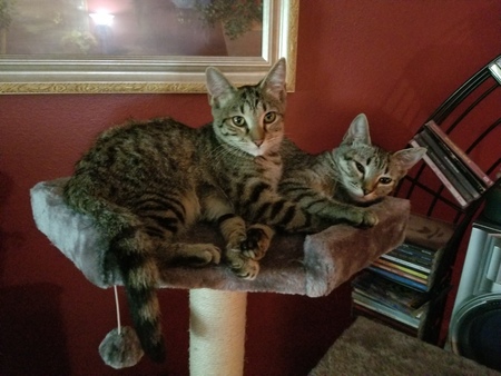 Joy & Jada