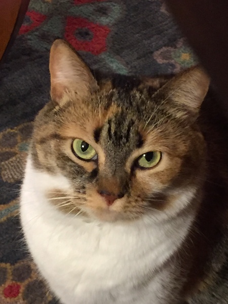 Nala