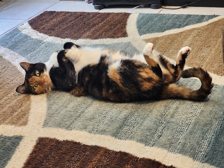 CLEO