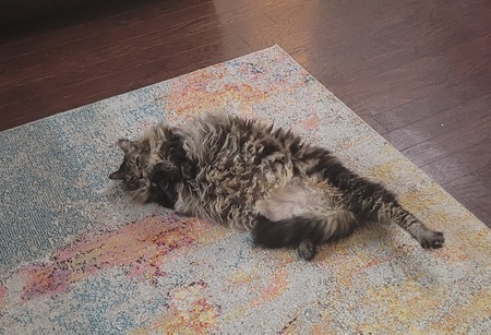 Oliver
