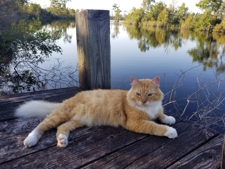 Sam