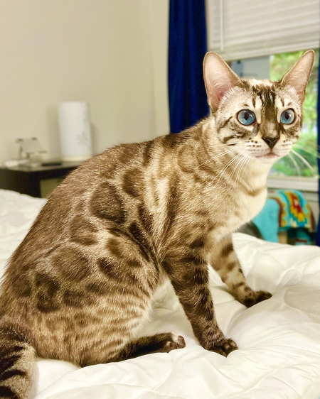 Jewel aka Juju Bean