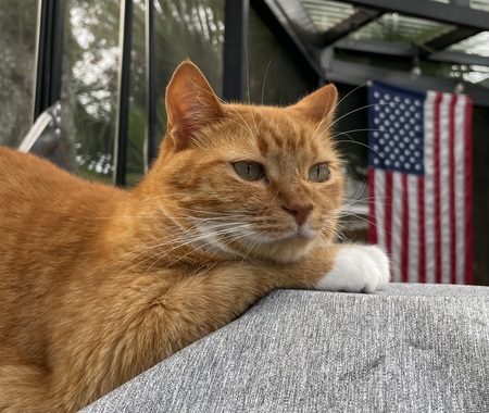 Leo