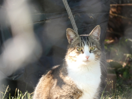 Milton