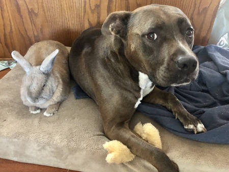 Baby and Daisy