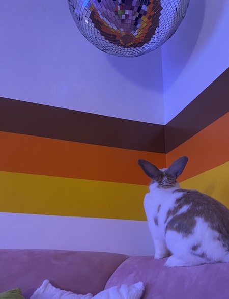 Binky