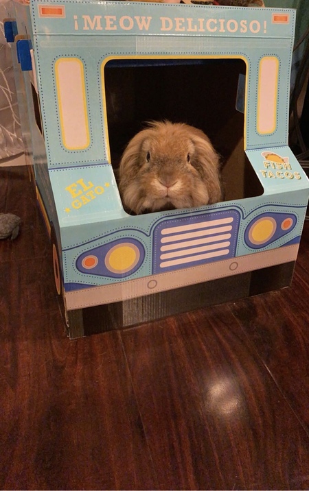 Finnegan