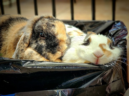 Sarah and Rocko