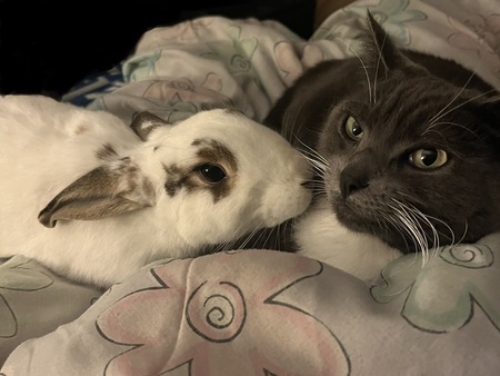 Bug and Grayce