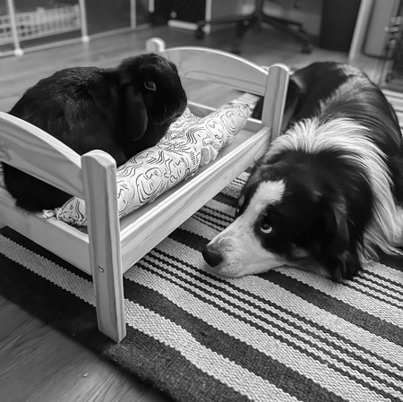 Friday & Zoro
