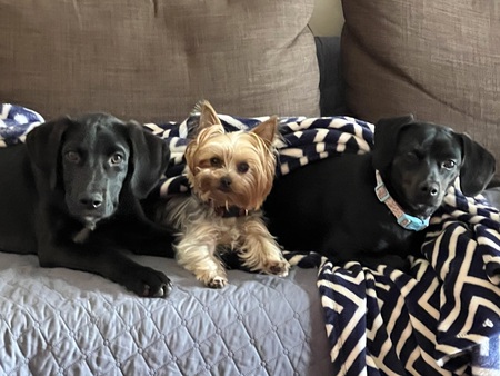 Phillip, Keski, and Chase family photo.
