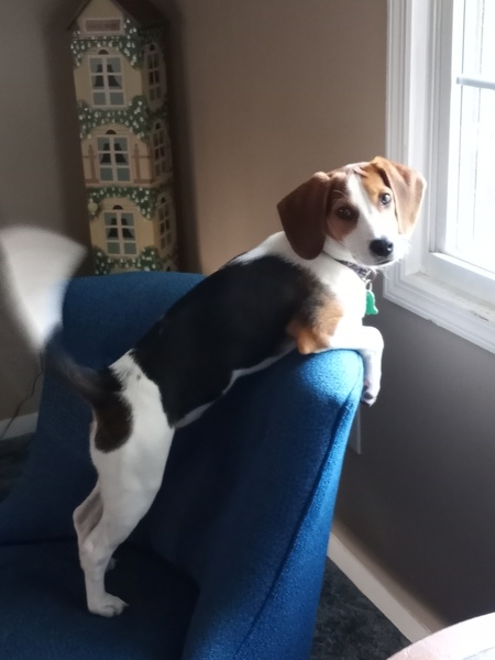 Maddie