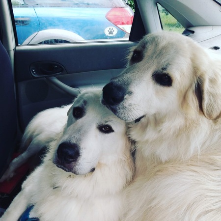 Winnie and Jake