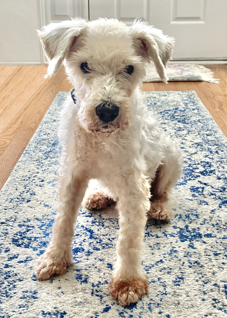 Benny