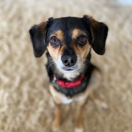 Charlie