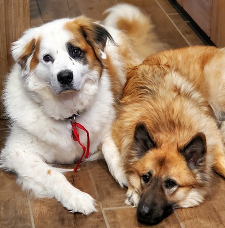 Atlas and Bandit