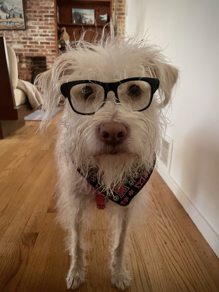 Hazel