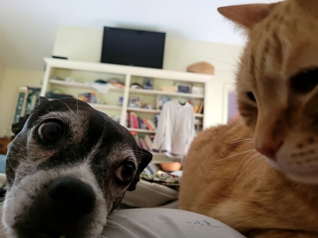 Tippy & Sonny