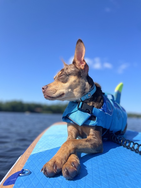 Rio