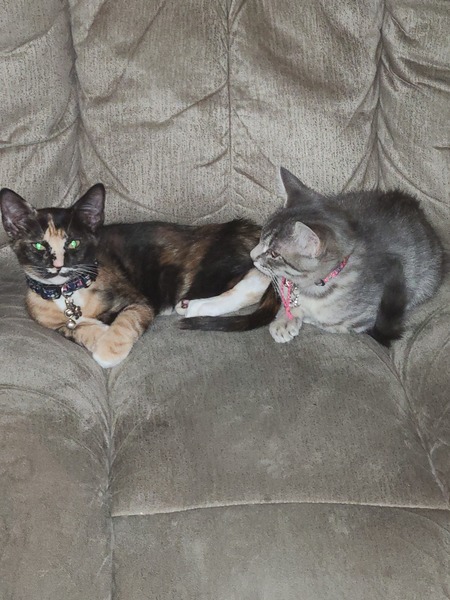 Luna & Zara