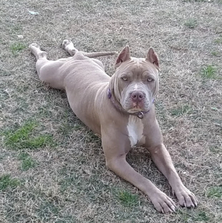 Daisy 