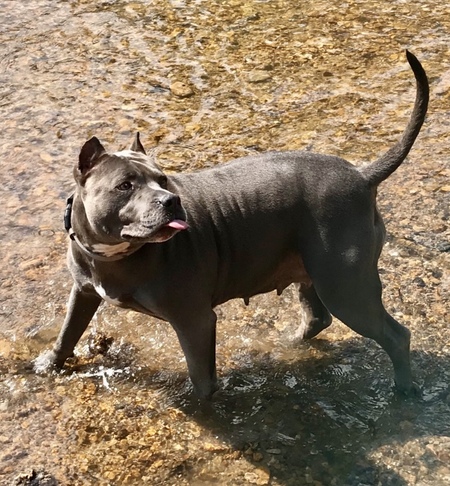 Sadie