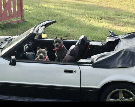 Allie and Sadie