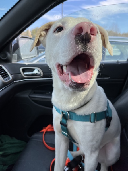 Artie aka Snow
