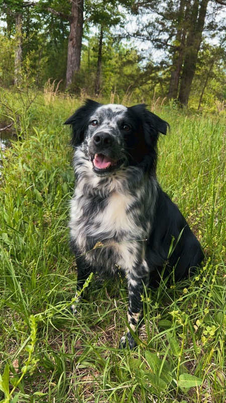 Remi