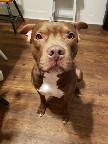 Bubba
