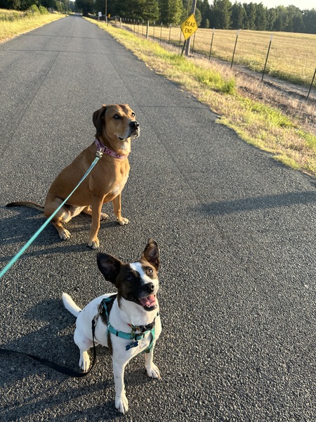Cheeka and BB