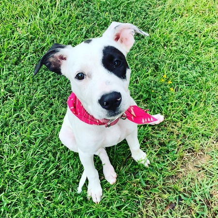Ruby