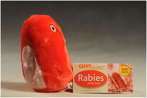 Giant microbes rabies top