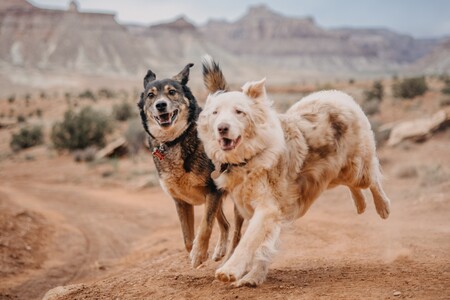 Paxton and Bodhi