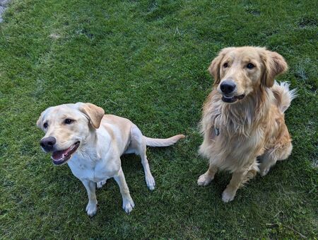 Penny and Tucker