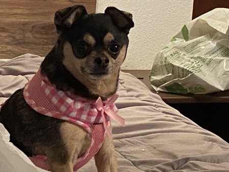 Mia