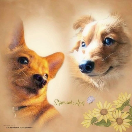 Pippin and Merry 