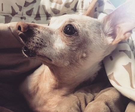 Leroy