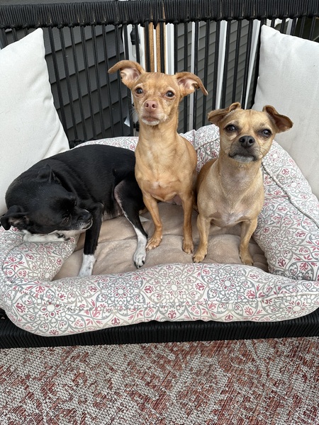 Mindee, Maebel, Margot