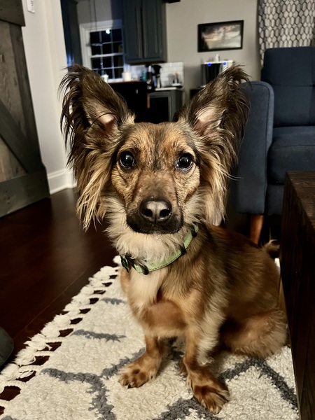 Jax