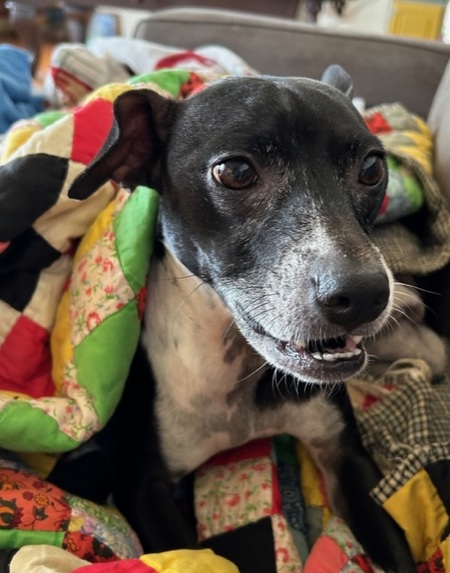Chloe