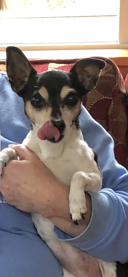 Scootie 