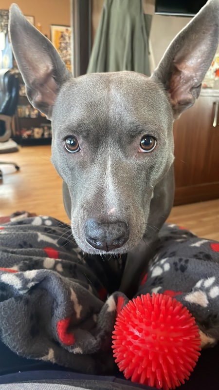 Gracie Mae