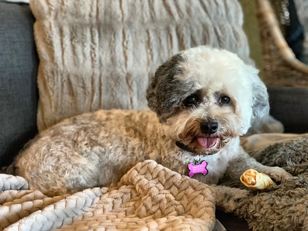 Millie