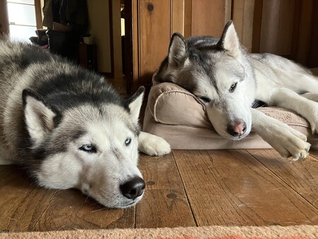 Bodhi and Emily